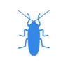 Уничтожение тараканов в Наро-Фоминске